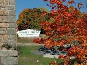 Trees are in the true fall colors near the chasm.