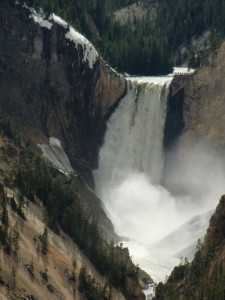 The thunder of Yellowstone Falls fills the valley as clouds of spray are churned up by the falling water.