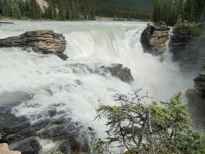 The roar of Athabasca Falls is a wonder to behold.