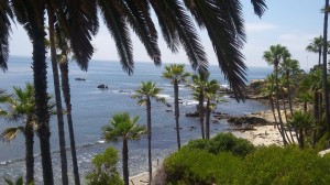 This is the essence of Laguna Beach: Palms, ocean, beaches and breaking waves.