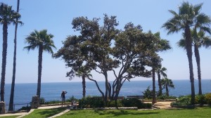 The ocean is always in view on the walk along the bluff.