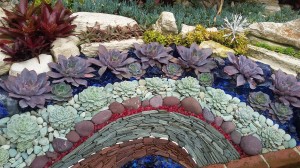The weaving together of succulents and rocks is a work of art.