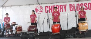 Cherry6